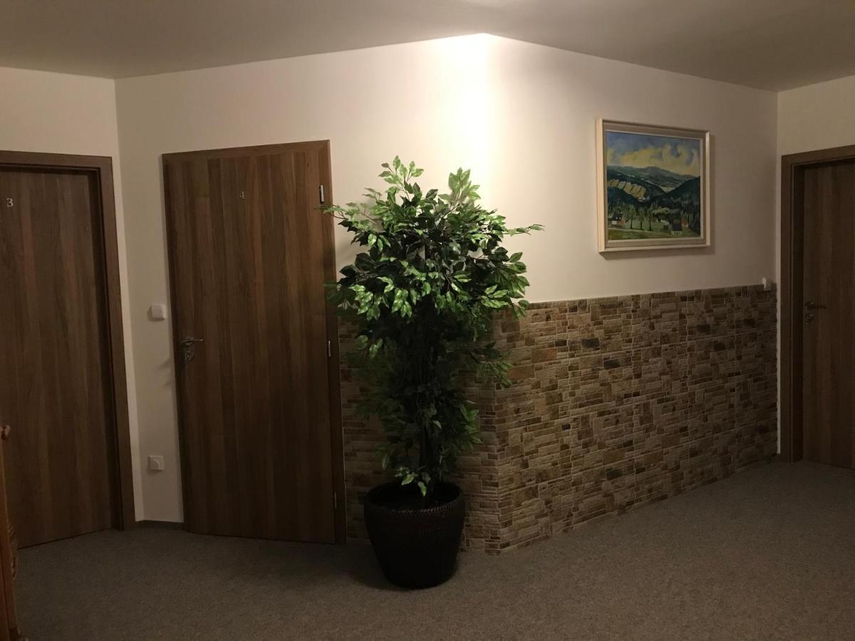Na Planyrce Hotel Paseky nad Jizerou Eksteriør billede