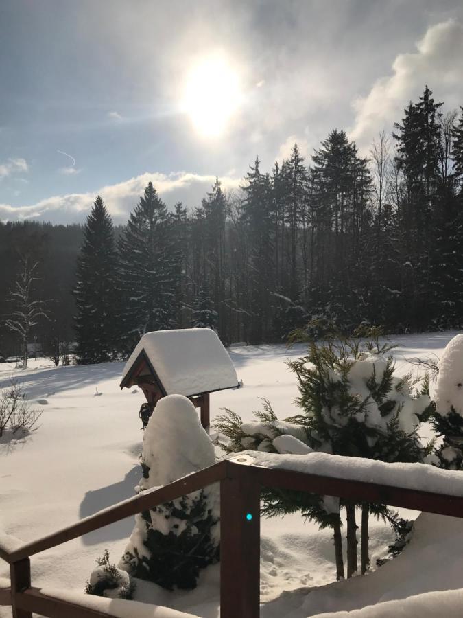 Na Planyrce Hotel Paseky nad Jizerou Eksteriør billede
