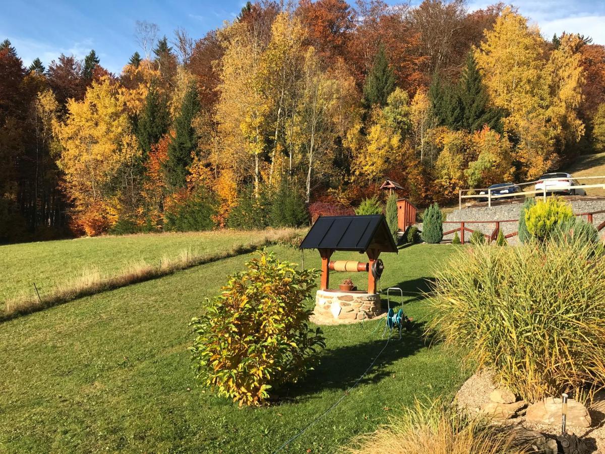 Na Planyrce Hotel Paseky nad Jizerou Eksteriør billede